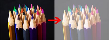 opacity-css